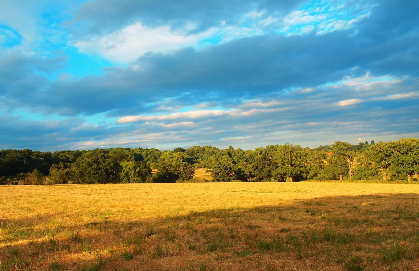 W Tajlandii i Indonezji Old farm land in London Harrow