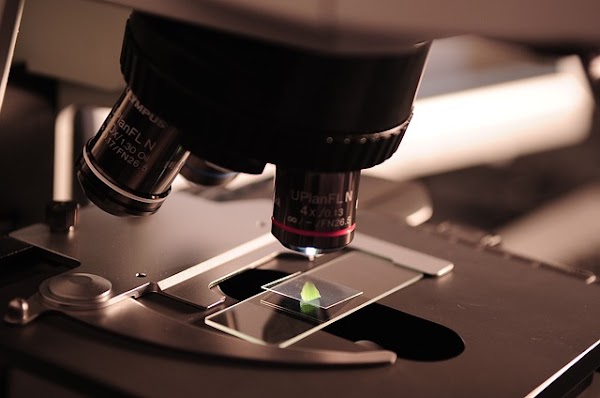 Nanoestructuras ayudan a reducir la adhesión de bacterias. Nanoestructuras ayudan a reducir la adhesión de bacterias.