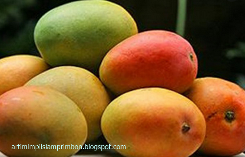 Arti Mimpi Melihat Buah Mangga Di Pohon Edukasi Lif Co Id