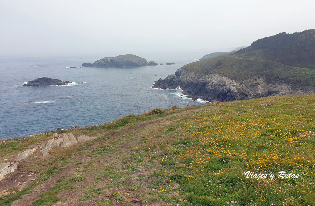 Isla de Vega, Senda costera Naviega, Asturias