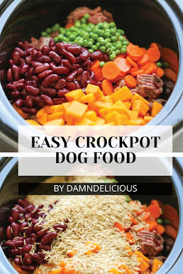 Top 10 DIY Homemade Dog Food Recipes