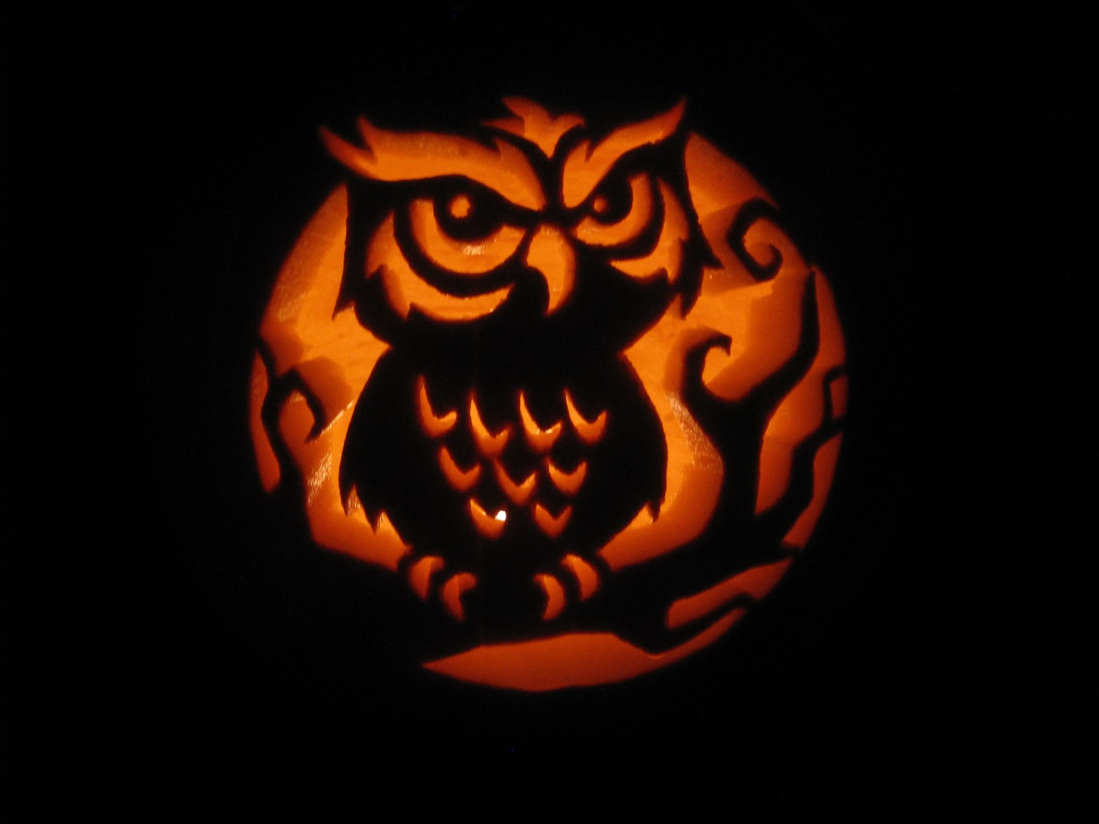 Owl Pumpkin Carving Templates