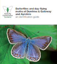 Butterflies Day-flying Moths Dumfries Galloway Ayrshire