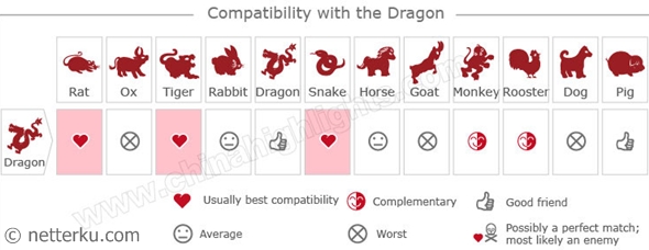 Compatibility with the Dragon - Netterku.com