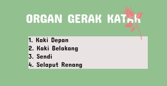 Organ Gerak Pada Katak Dan Fungsinya Kelas 5 Klak Klik Bermutu