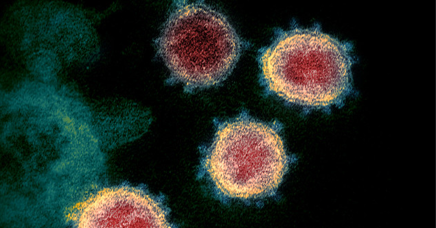 Avian Flu Diary Kcl Predicting Covid 19 Severity Based On Early Symptomology