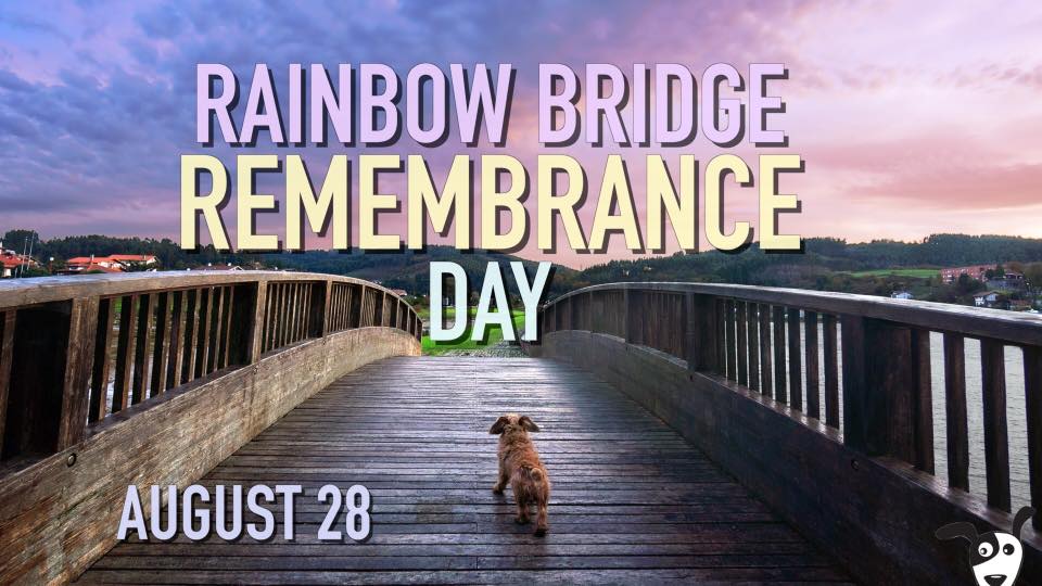 Rainbow Bridge Remembrance Day