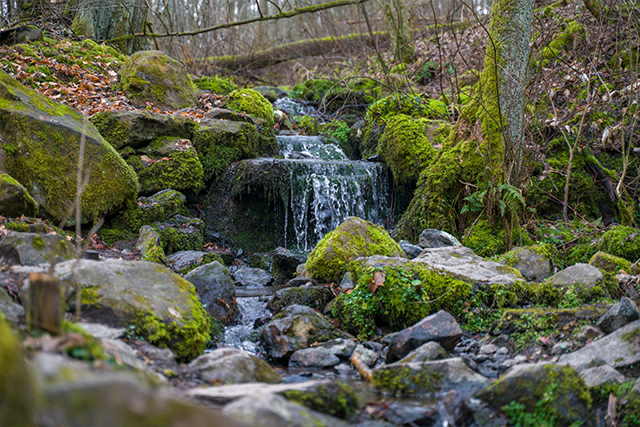 Schächerbachtour | ExtraTour Vogelsberg | Wandern Homberg (Ohm) | Wanderung in Hessen 01