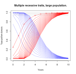 Plot titled "Multiple recessive traits, large population", illustrating selection for a trait in an out-crossing population.