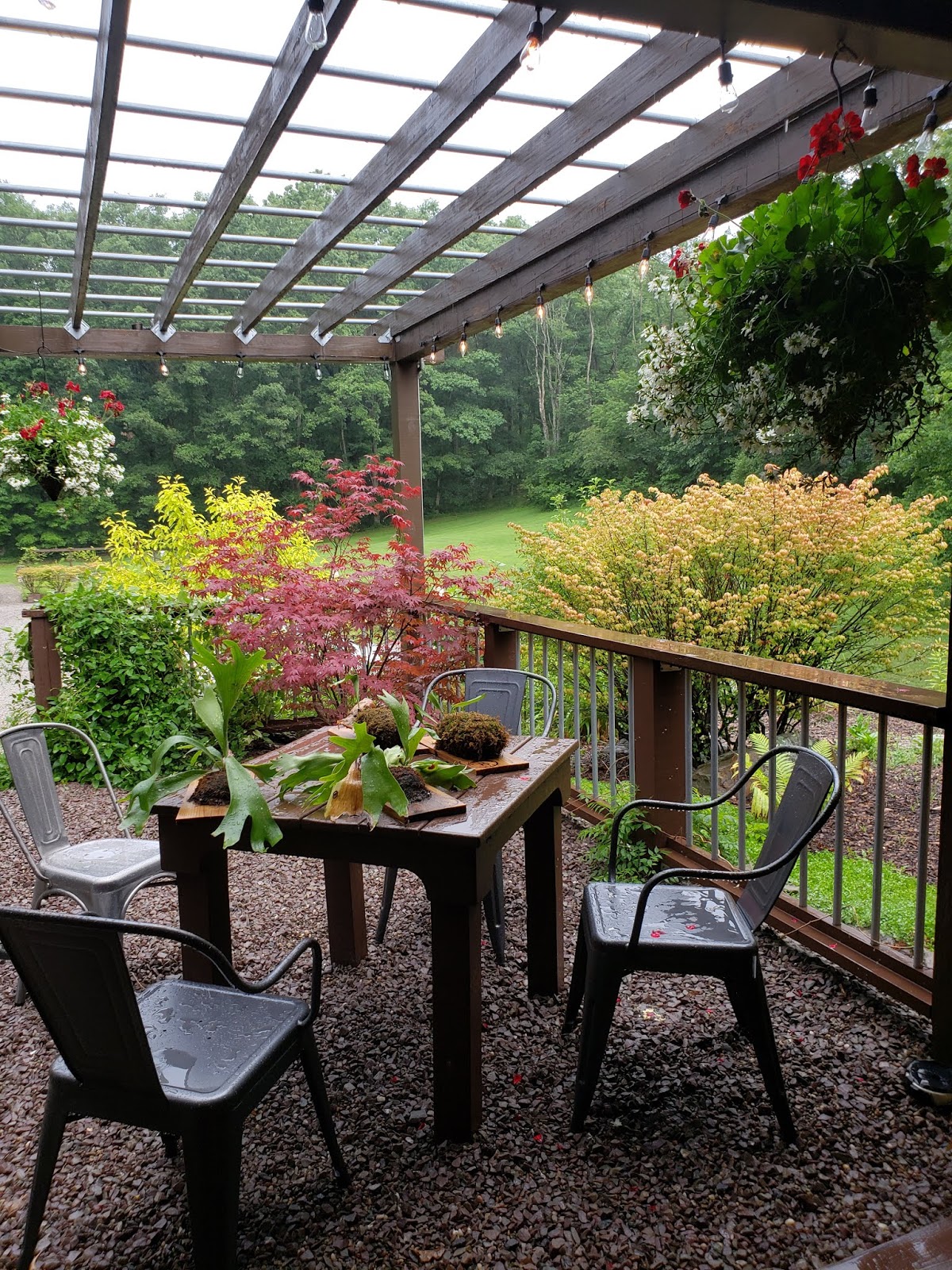 피츠버그 즐기기 오하이오파일 3 숲속의 카페 Bittersweet Cafe