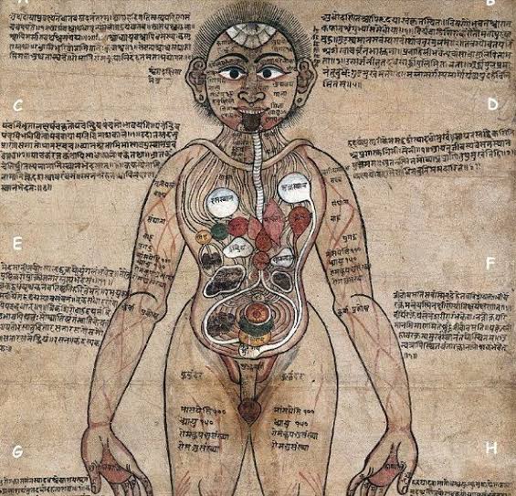 The ancient Indian medical treatment system