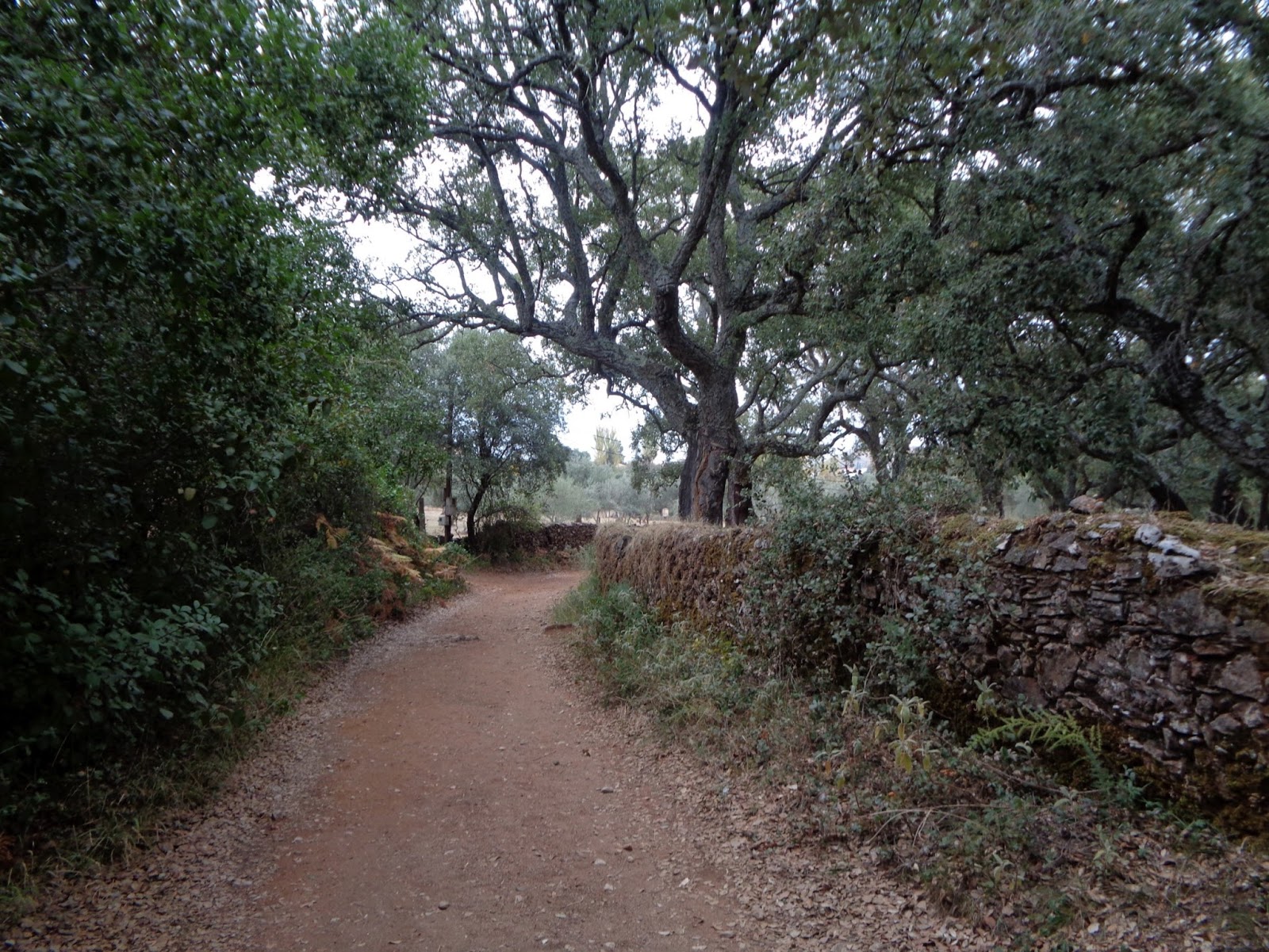 Foto de Sendero Aracena-Los Marines en Los Marines, Huelva