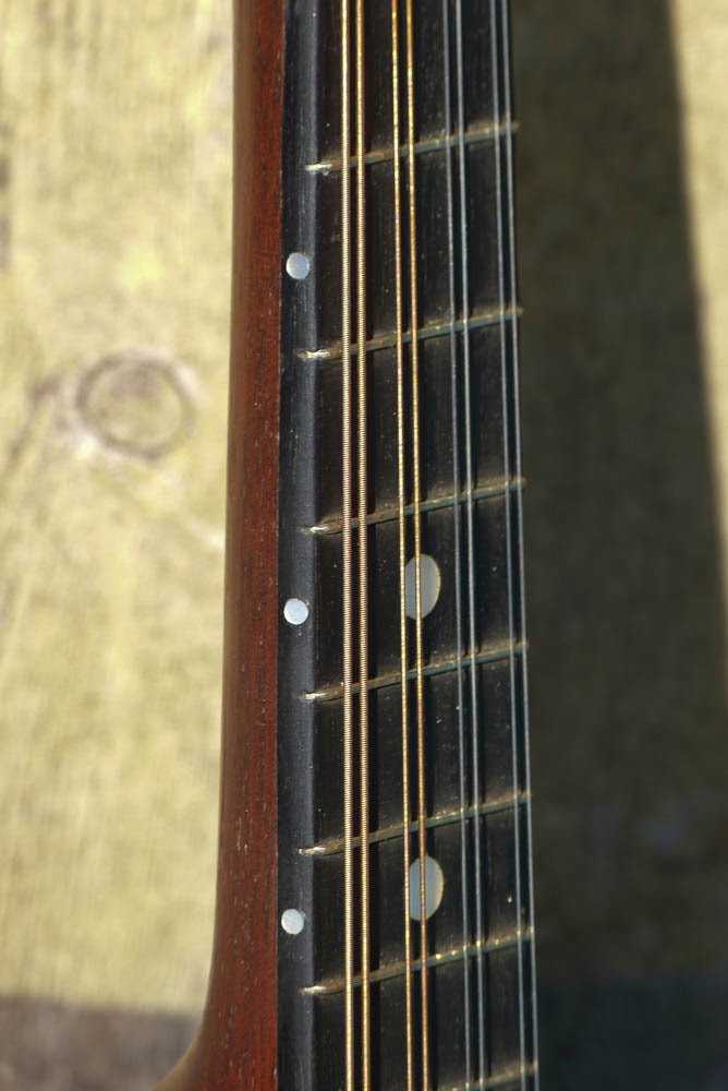 Banjo Mandolin Pickguard