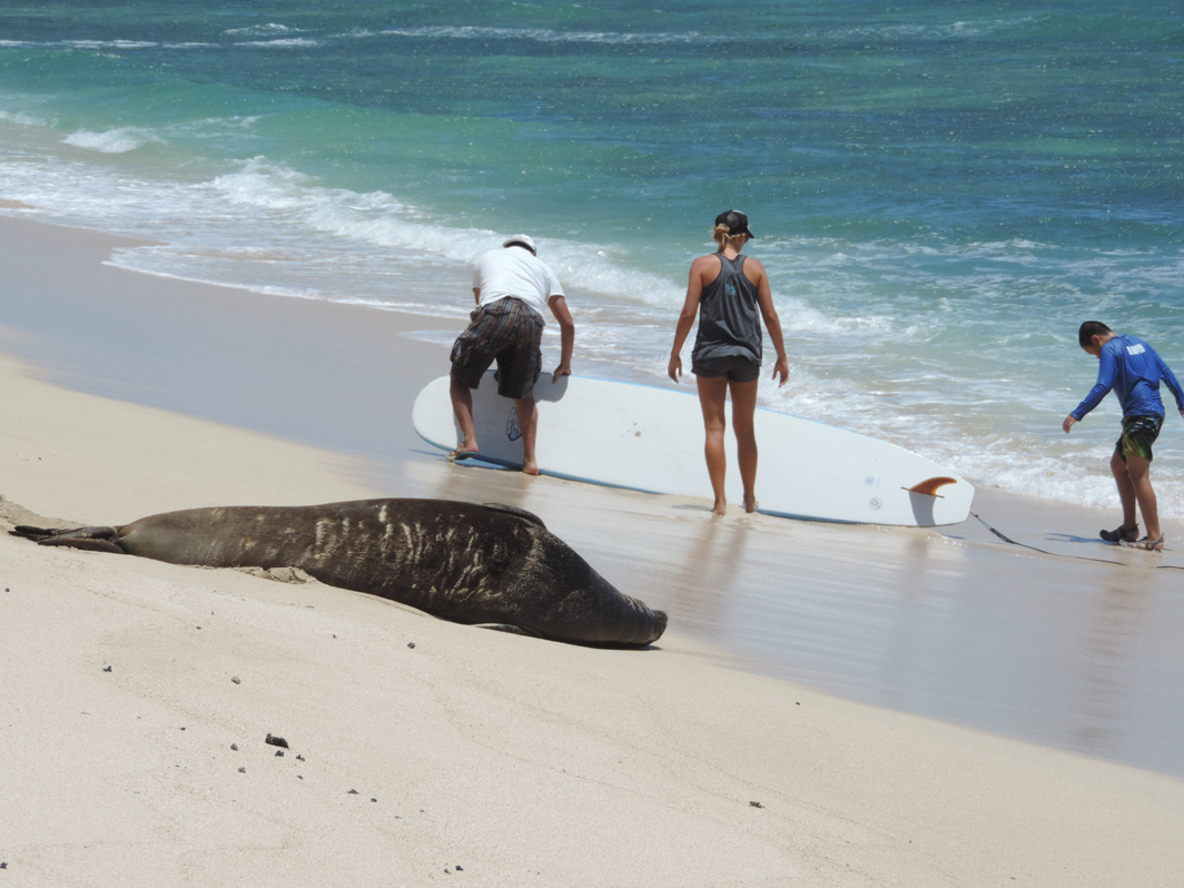 8122013 Team Billand Pohaku & Benny at