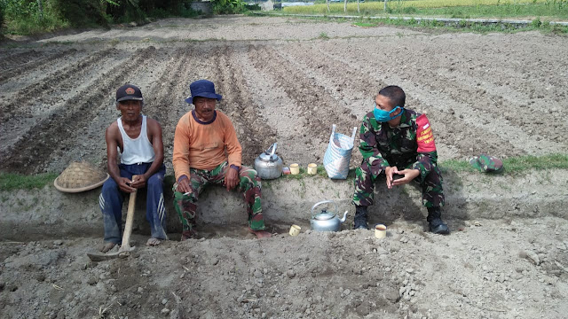 Babinsa Selalu Berikan Dukungan Ke Petani Dalam Pandemi Covid 19