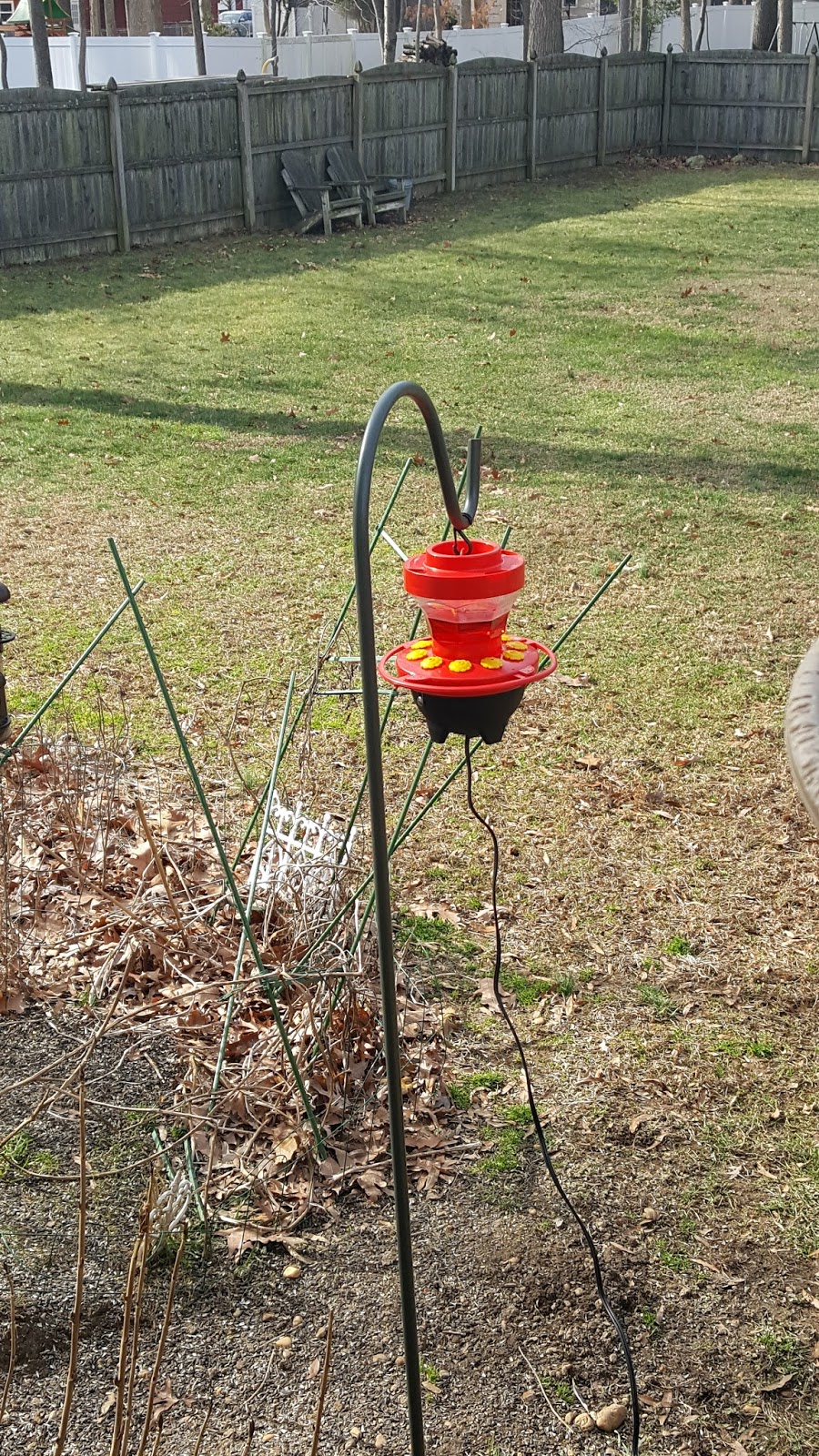 Heated hummingbird feeder