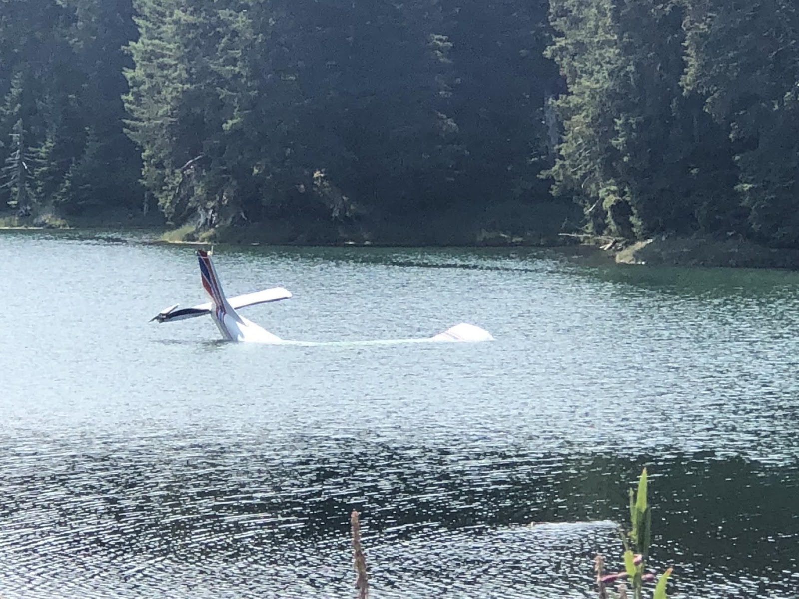 Kathryn's Report Collision During Takeoff Piper PA32260 Cherokee