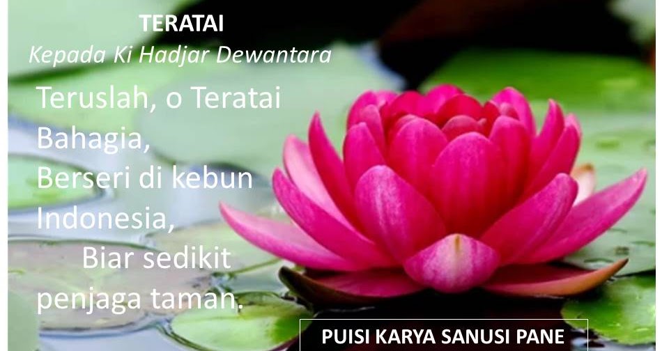 Makna Dan Arti Puisi Teratai Karya Sanusi Pane Pusat Ilmu Pengetahuan