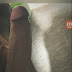 #EXCLU #NUDES : Découvrez les nouvelles photos hot de certains candidats !
