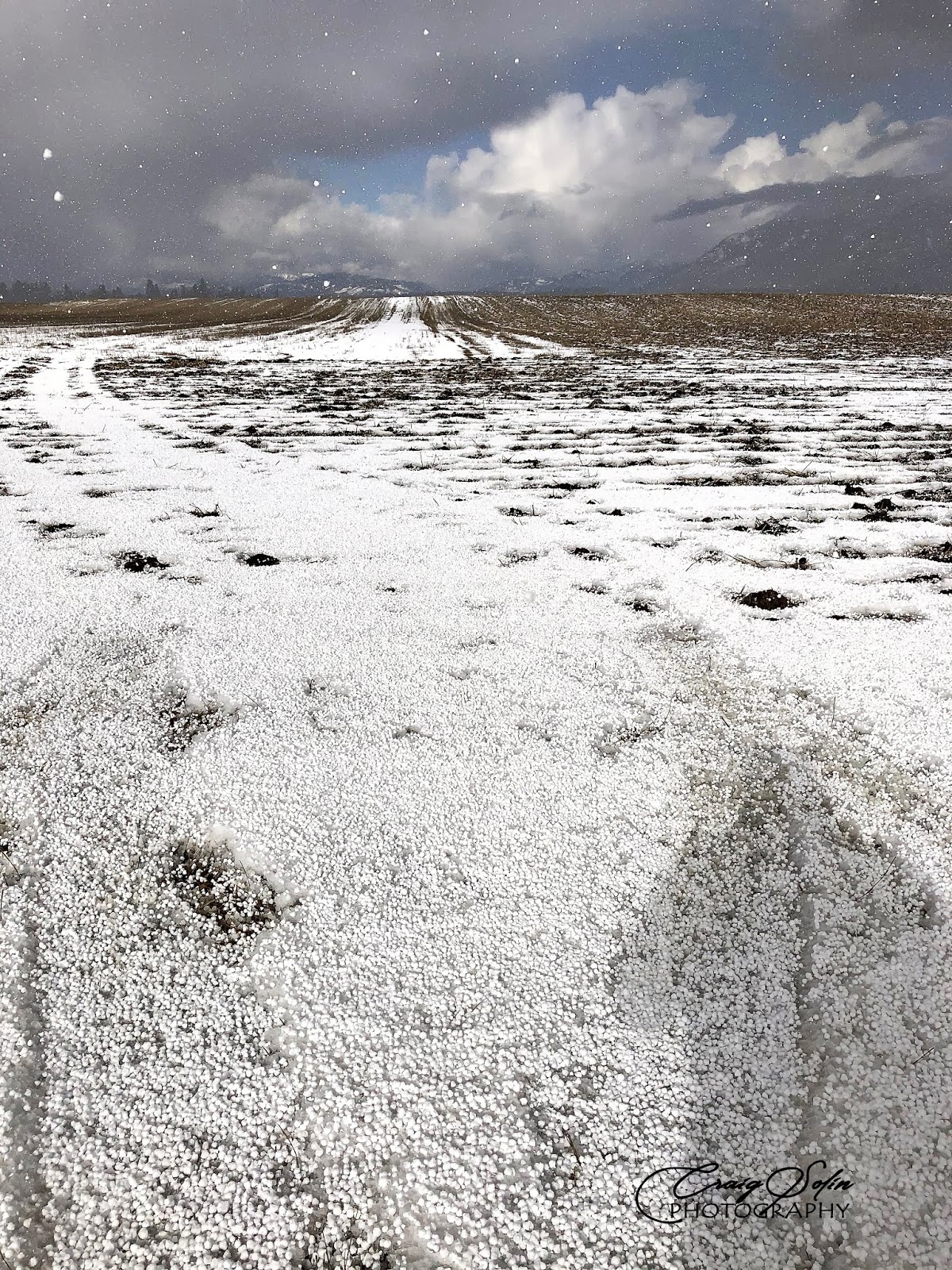 From Marin to the Mountains Winter, Snow and what the heck are Ice