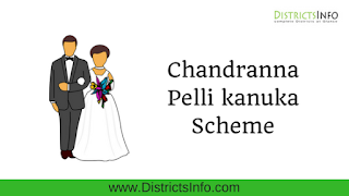 Chandranna Pelli kanuka Scheme