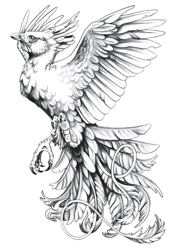 tattoo designs phoenix