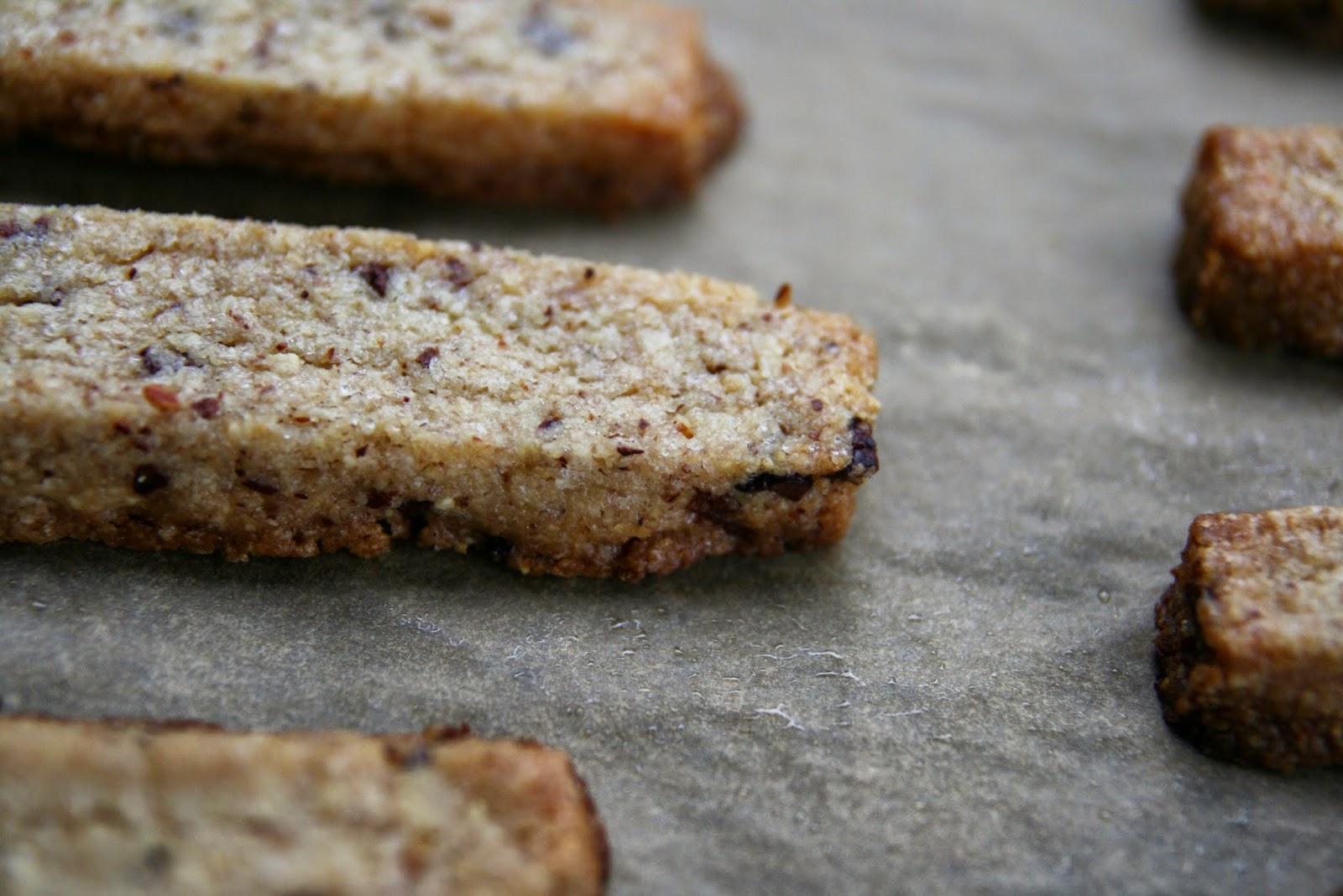Almond Sticks with Cacao Nibs Recipe mostly foodstuffs