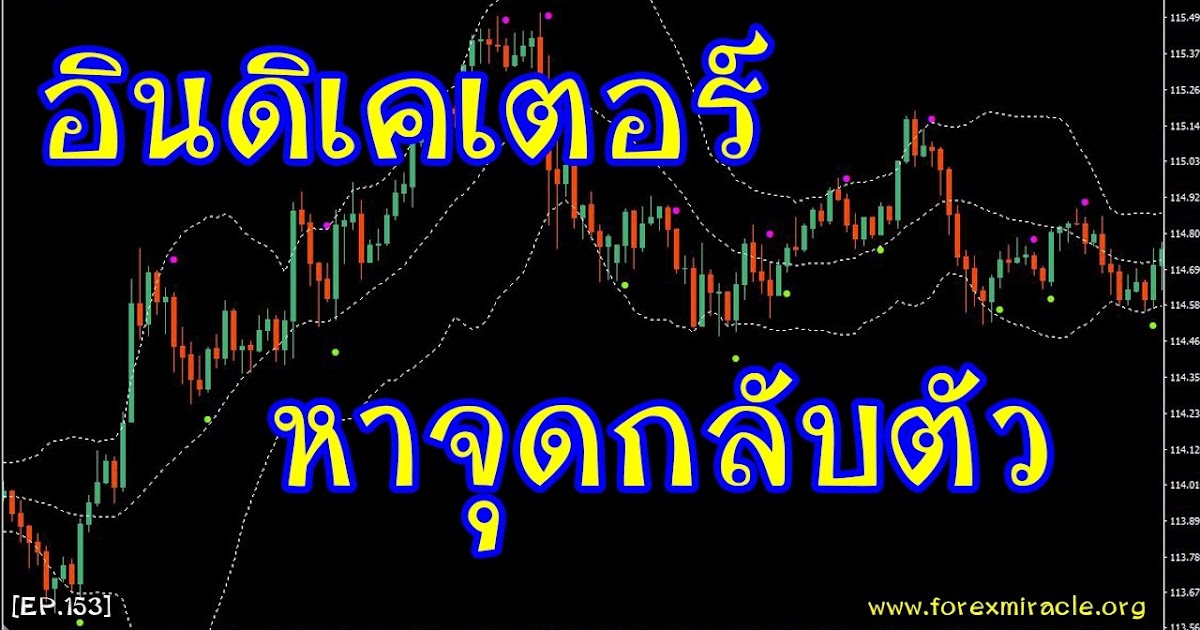 Indicator forex 5 ดาว