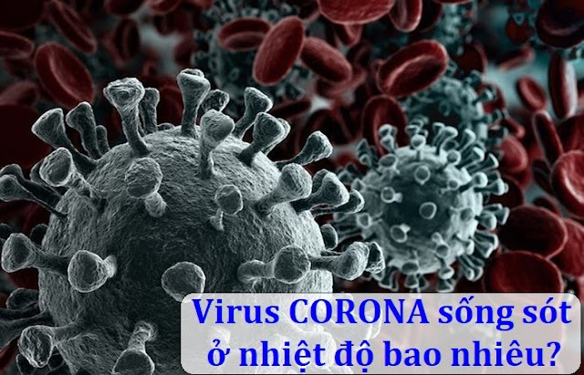 Virus corona (Covid-19) sống sót trong nhiệt độ bao nhiêu?