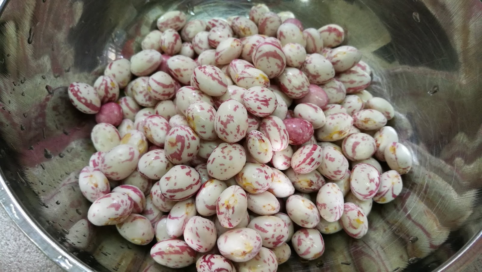潮洲薏米: 珍珠豆排骨汤