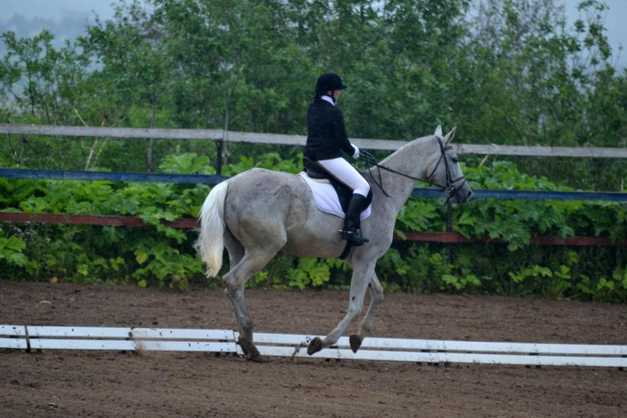 Конный спорт республика. Конноспортивная школа Кичучатово. Конноспортивная школа Выльгорт. Кичучатово ипподром. Конная школа в Кичучатово.