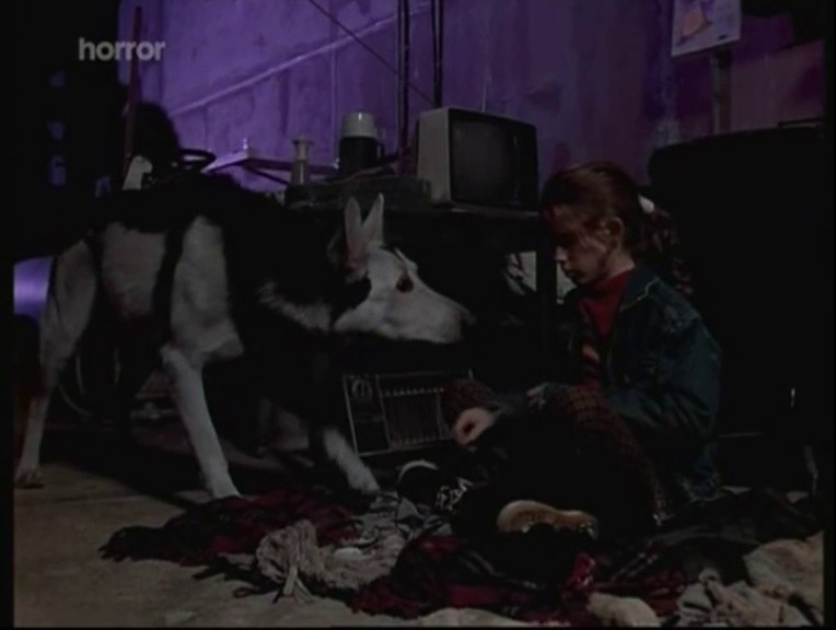 CACHORRO ATÔMICO (DUAL ÁUDIO/WEB-RIP) – 1998 Vlcsnap-2020-12-28-10h46m59s342