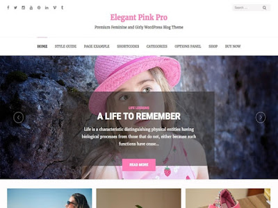 Elegant Pink Pro Wordpress theme