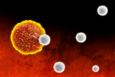 t cells will become very important in corona prevention