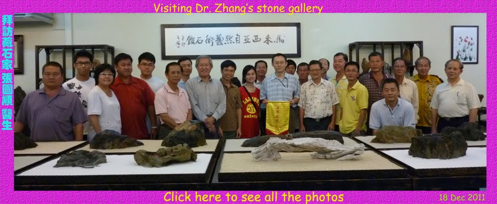 Dr Zhang gallery