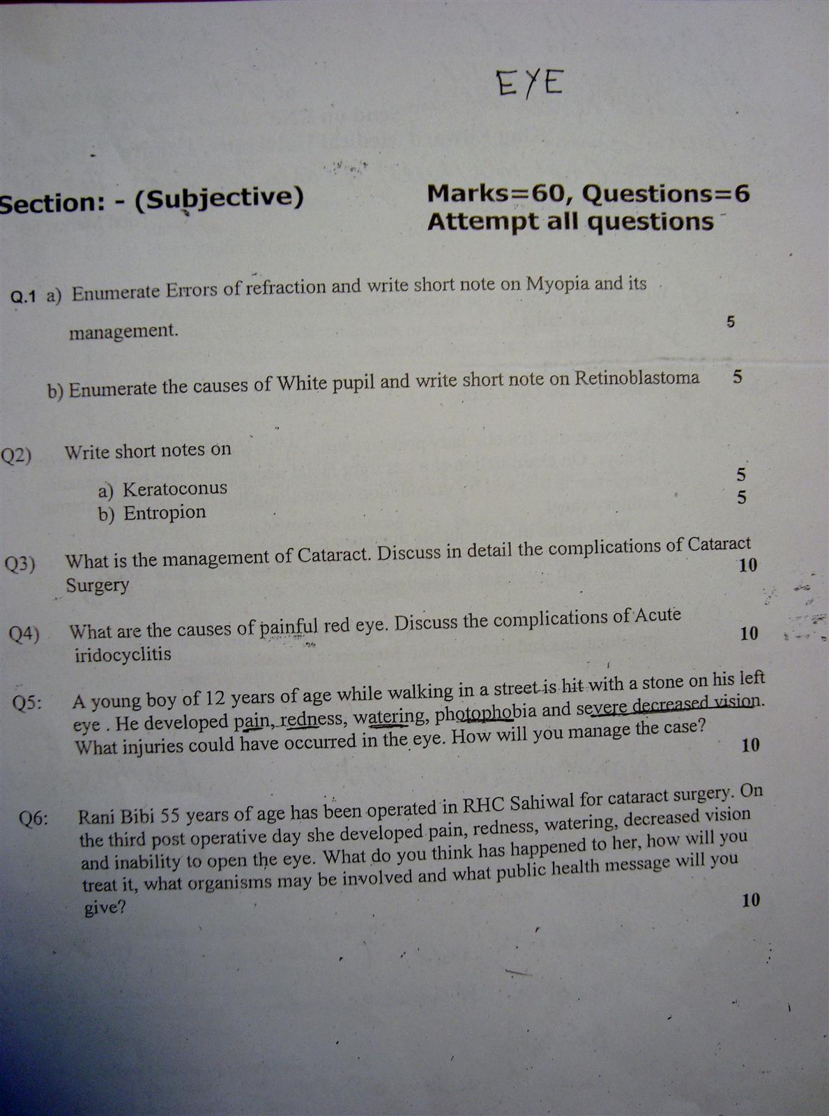 My senior high school life would be image