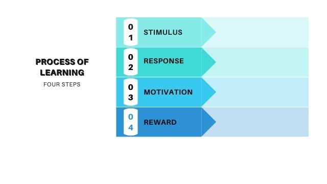 Process of Learning Process of Learning