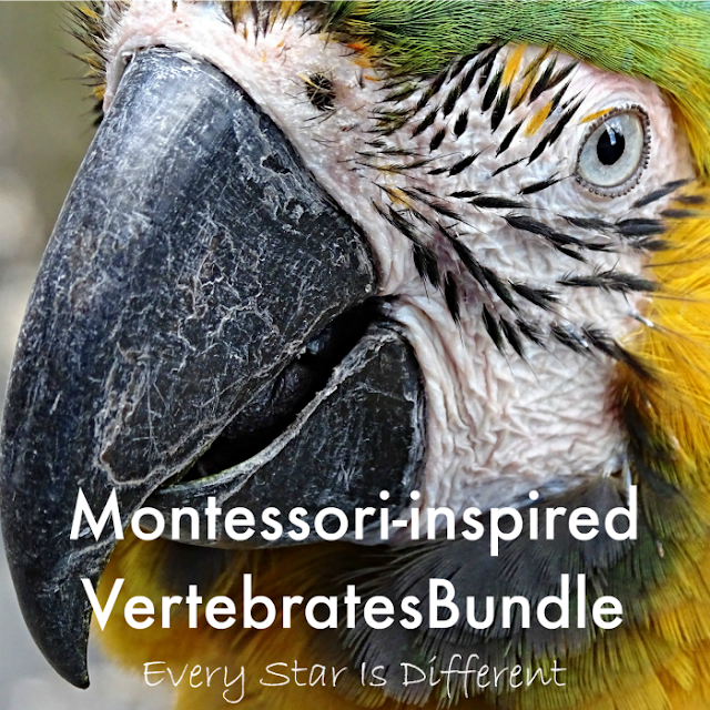 Montessori-inspired Vertebrates Bundle