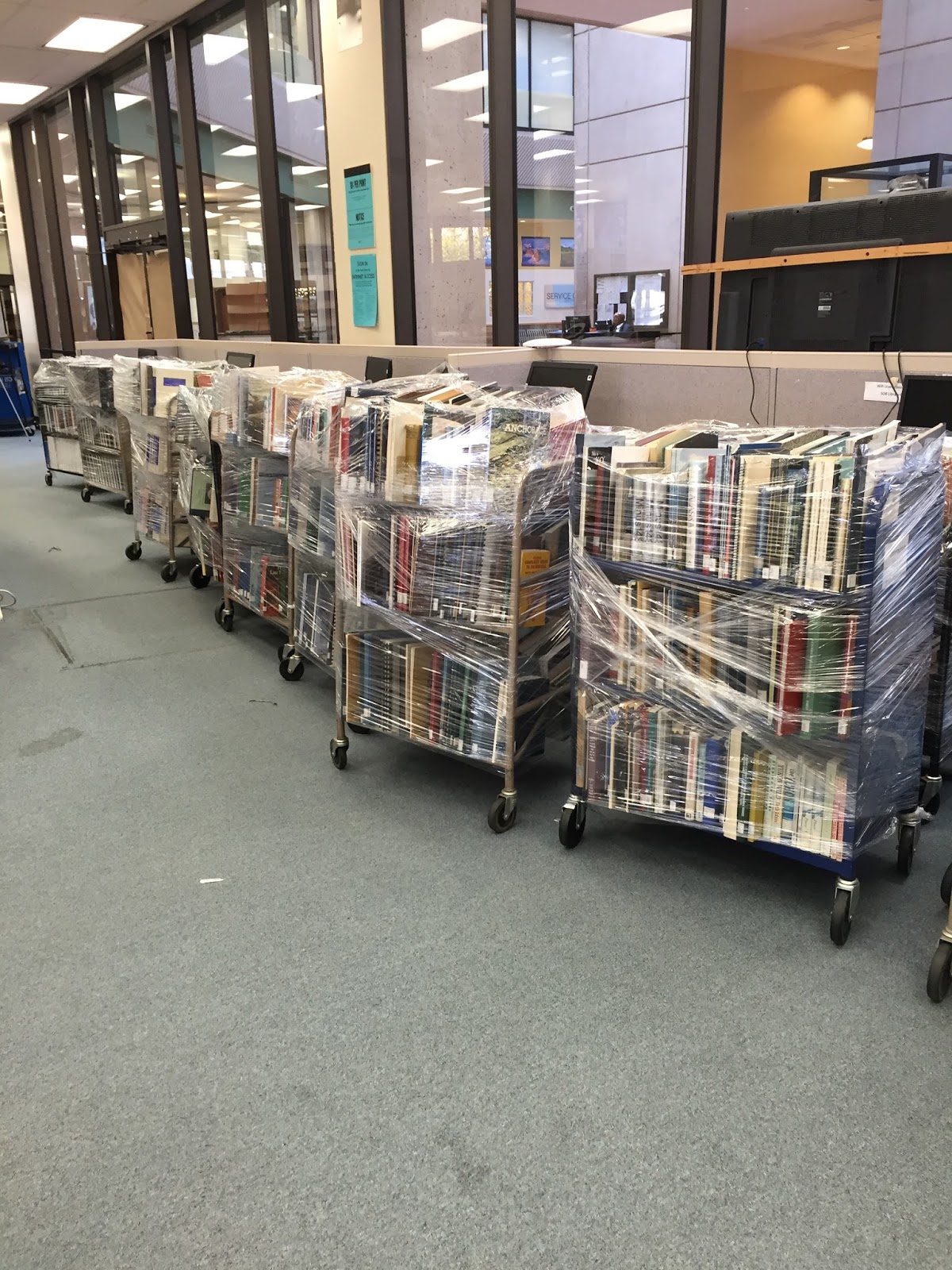 Since You Asked How to move a library Books