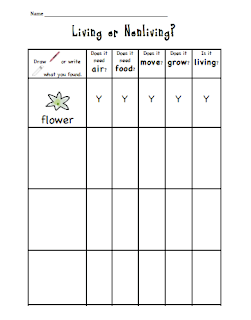living nonliving non directions activity grade snippets sarah