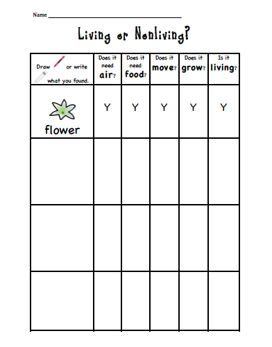 Sarah's First Grade Snippets: Living or Nonliving