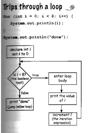 Java For Loop