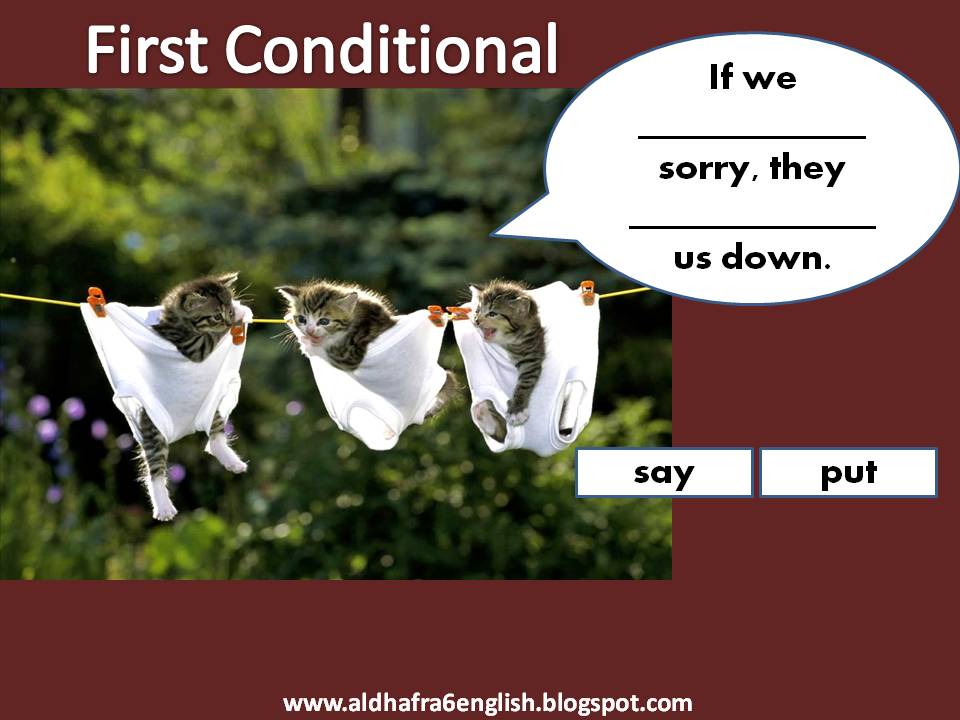 Funny conditionals. This said down. First conditional. Cat addictions. скажите down.
