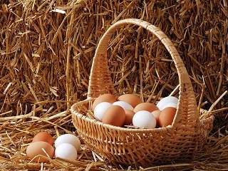 brown eggs and white eggs