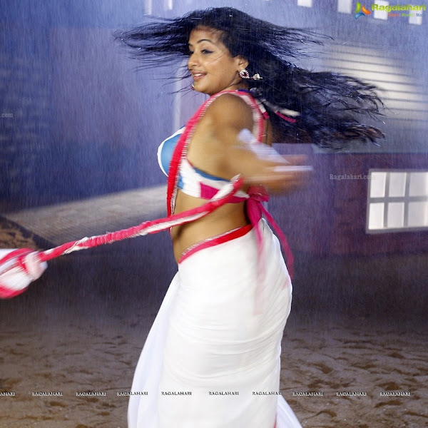 Priyamani hot photos in saree from movie Tikka