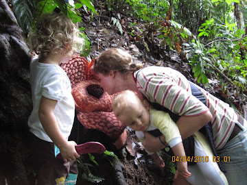 Rafflesia berbau bangkai
