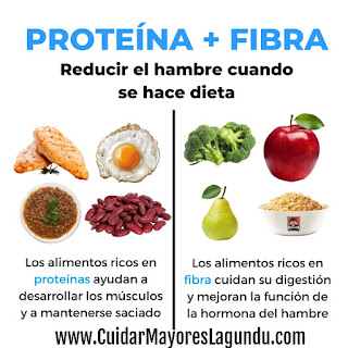 Proteina Mas Fibra ebook libro saludable colesterol adelgazar
