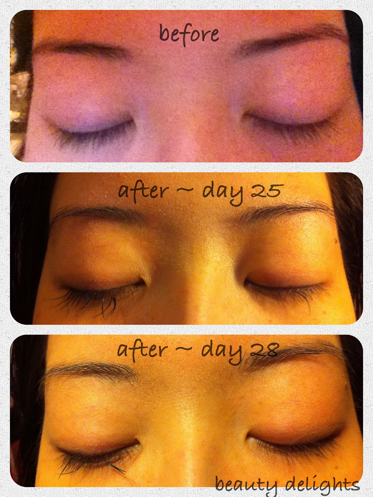 eyelash extensions mink beauty week eyelashes lost delights counting
