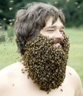 bee-beard.jpg