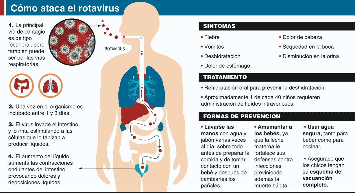 vomito diarrea fiebre y dolor de cabeza en ninos